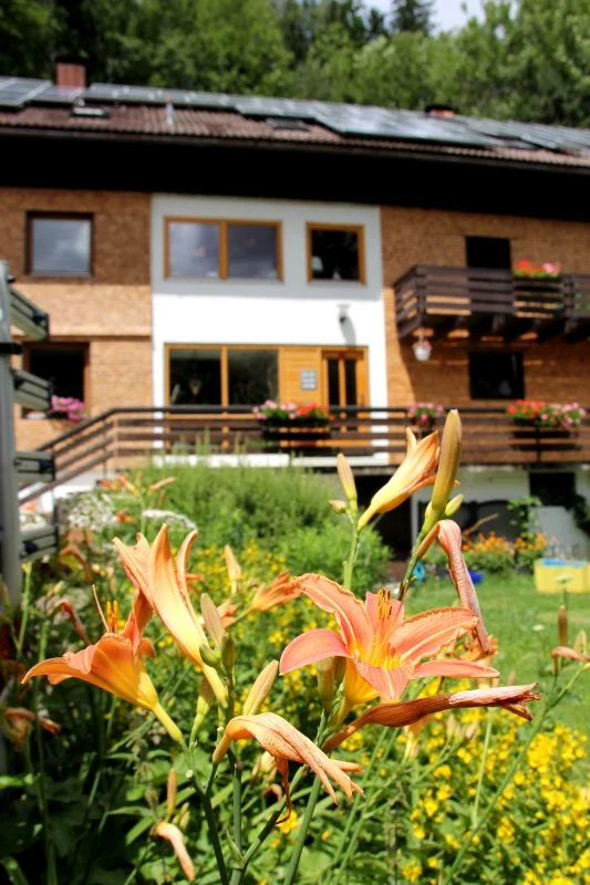 Blühende Taglilien vor dem Haus Lichtblick