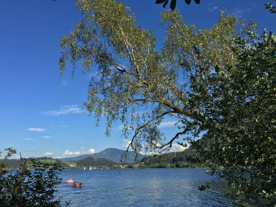 Sommer am Großen Alpsee mit Booten auf dem Wasser und Allgäuer Bergen