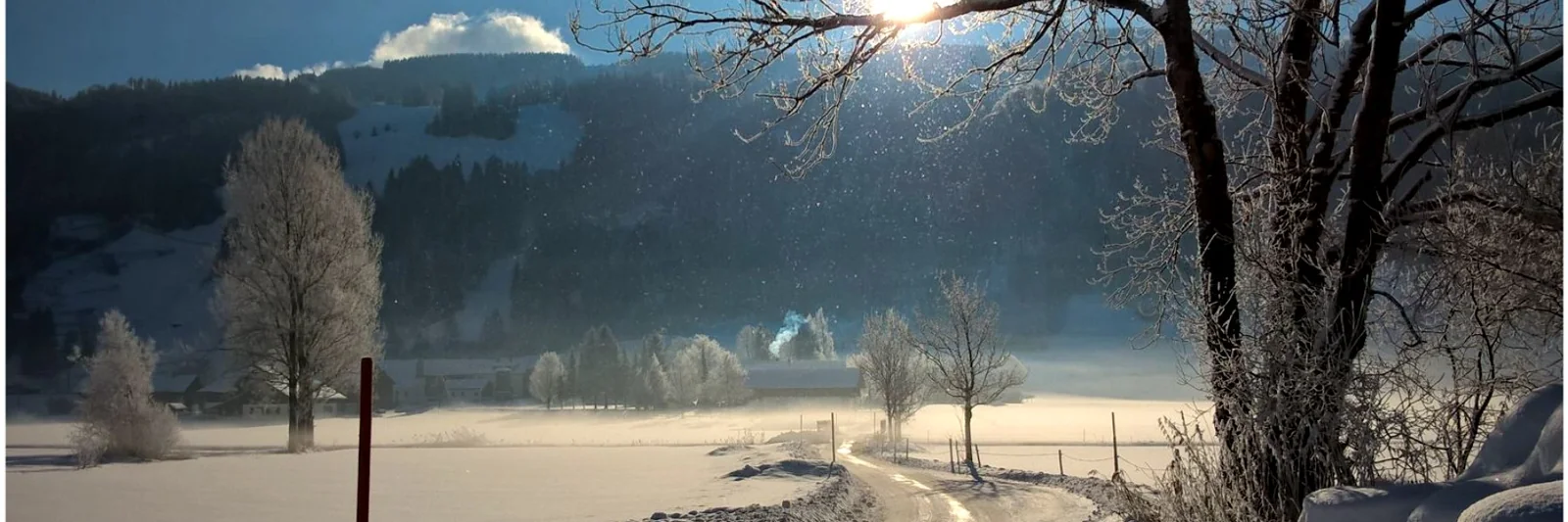 Verschneite Allgäuer Landschaft mit Wintersonne zwischen den Bäumen